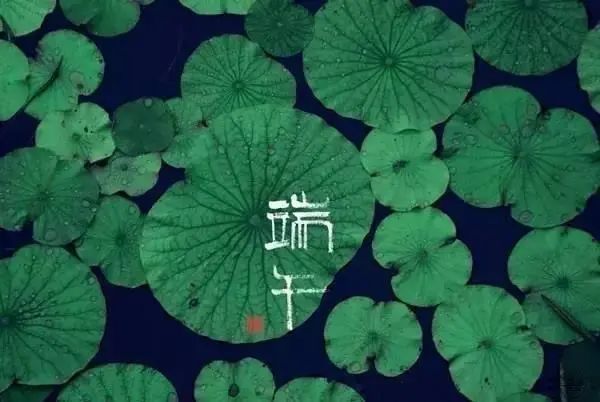 品味端午 傳承文明|滄州海固預(yù)祝您端午安康！
